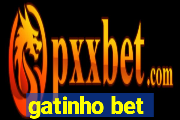 gatinho bet